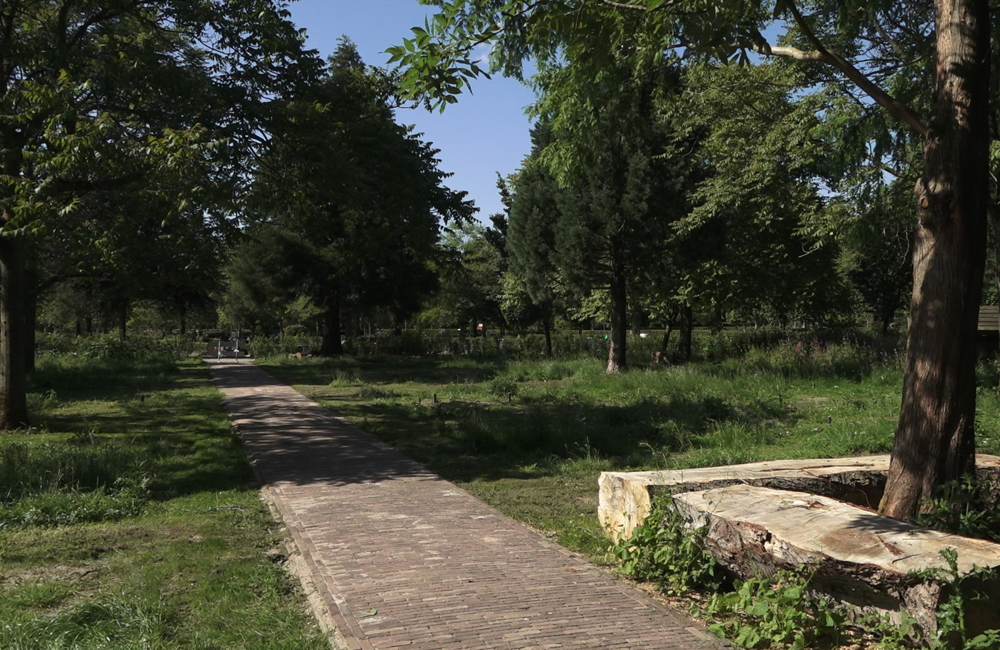 Geen zerk of urn: laatste rustplaats in het groen op nieuw natuurbegraafpark