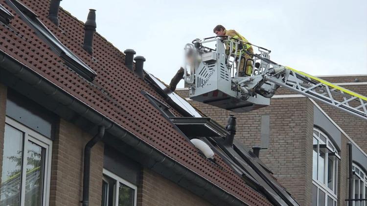 Kat onder zonnepanelen gered door brandweer