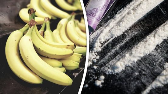 Dordtenaar aangehouden voor cocaïnesmokkel tussen bananen