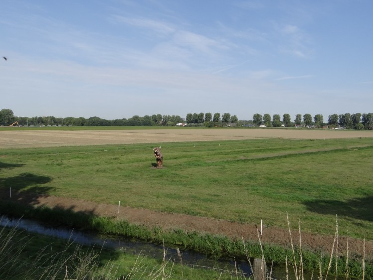 Omwonenden naar rechter om bouwvergunning in stiltegebied Wieldrechtse Zeedijk
