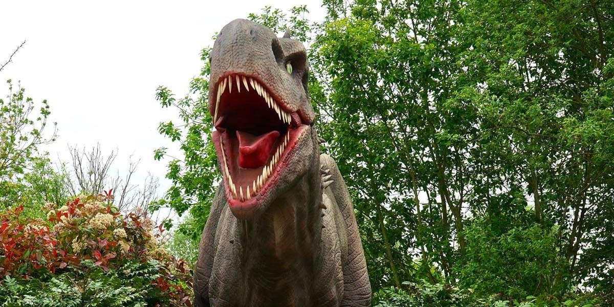 Sotheby's doet een volledige Tyrannosaurus rex onder de hamer
