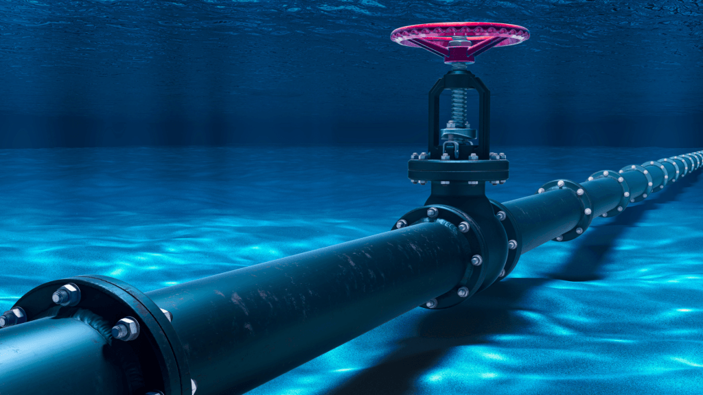 Wetenschappers zien enorme lithiumbron in zeewater: “Voorraad voor 50.000 jaar”