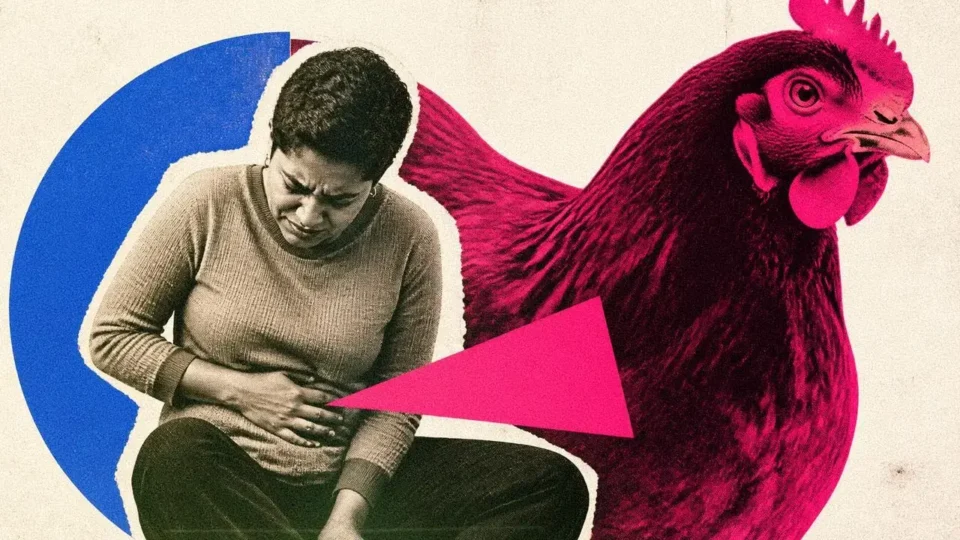 Gevaarlijke bacterie uit kip verspreidt zich razendsnel: is jouw maaltijd nog veilig?