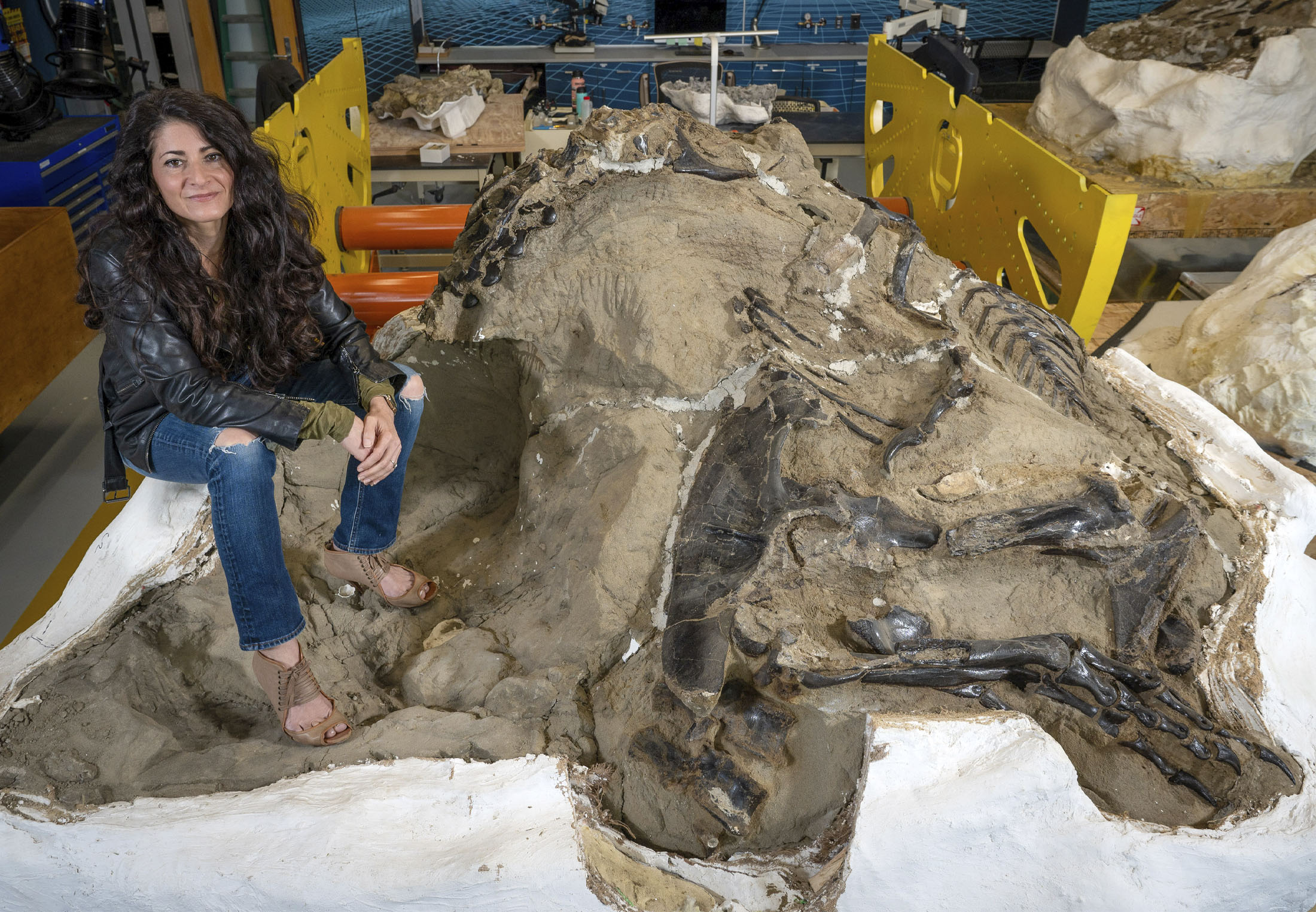 Paleontologen staan in de rij om fout toe te geven: Nieuwe ontdekking zet 25 jaar aan T. rex-onderzoek op losse schroeven