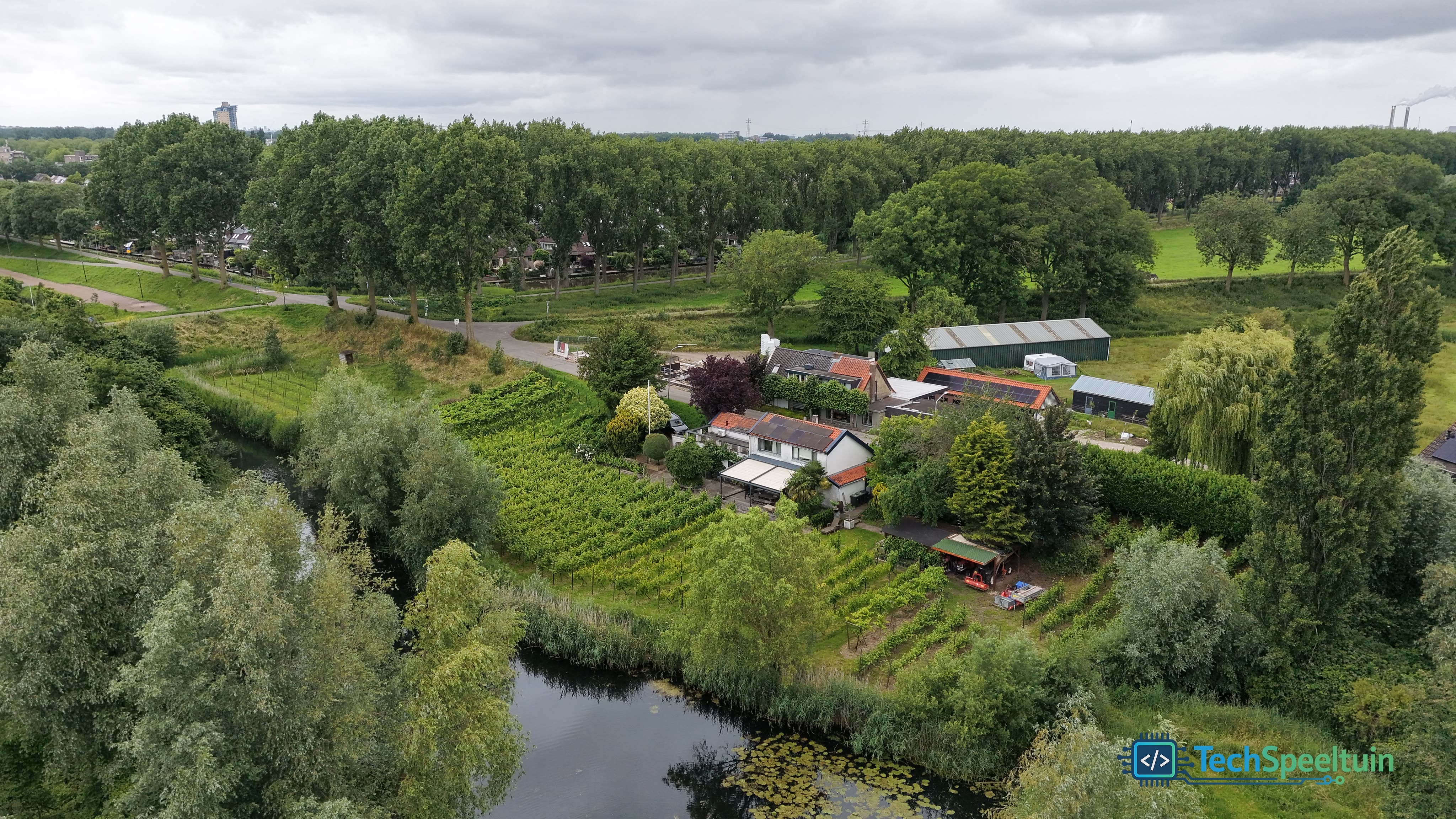 Wijngaard Bilderhof &mdash; Zuidendijk - Dordrecht, Nederland